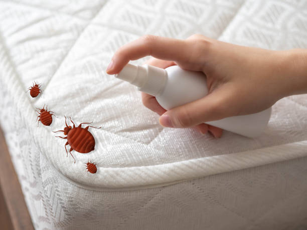 Best Emergency Pest Control  in Charleston, WV